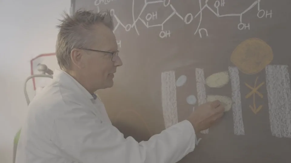 Prof. Tore Bengtsson explaining how SiPore® works at a lab whiteboard