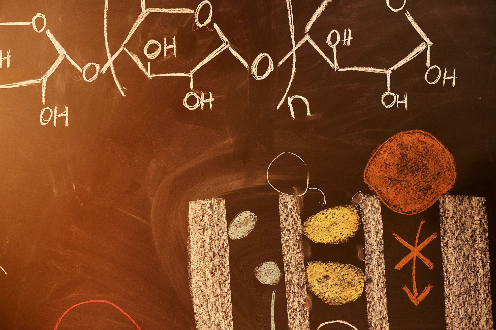 Mode-of-action animation: SiPore® entraps a portion of the digestive enzymes amylase and lipase