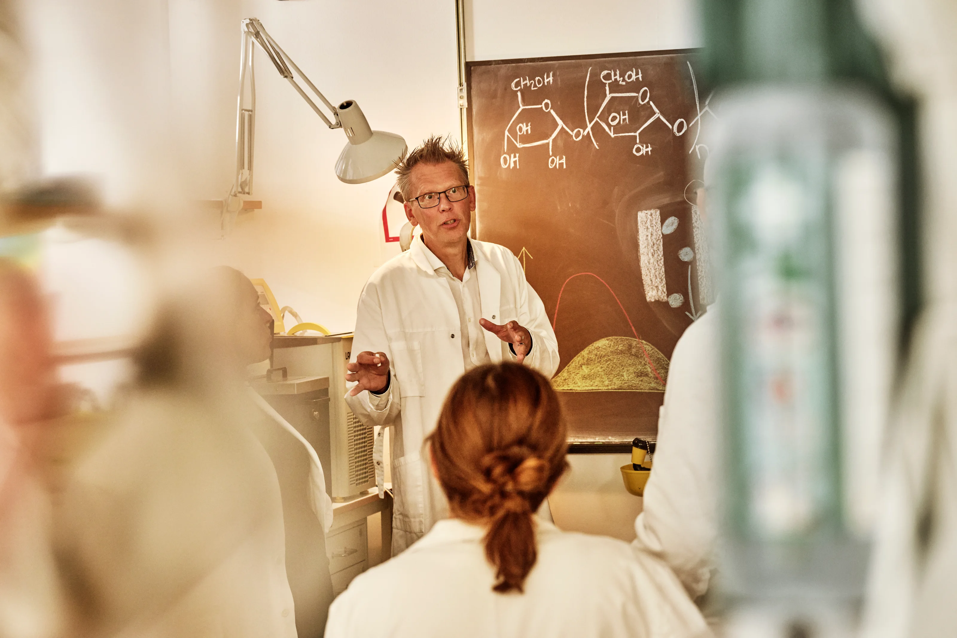 The research continuum: from the laboratory to controlled human studies and everyday meals